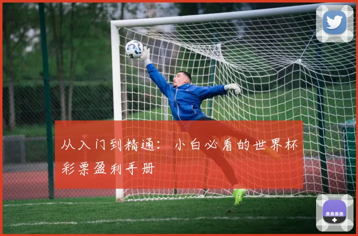从入门到精通：小白必看的世界杯彩票盈利手册