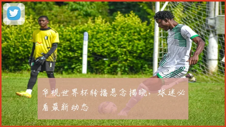 华视世界杯转播悬念揭晓，球迷必看最新动态