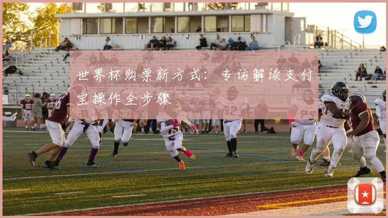 世界杯购票新方式：专访解读支付宝操作全步骤