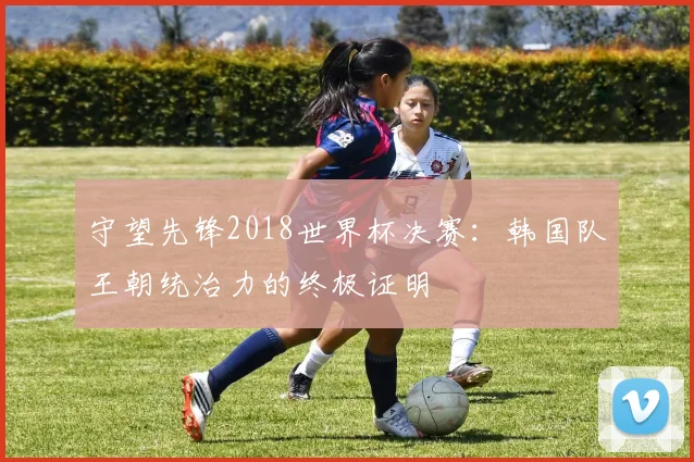 守望先锋2018世界杯决赛：韩国队王朝统治力的终极证明