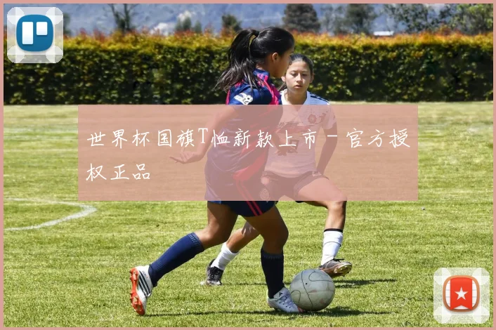世界杯国旗T恤新款上市 - 官方授权正品