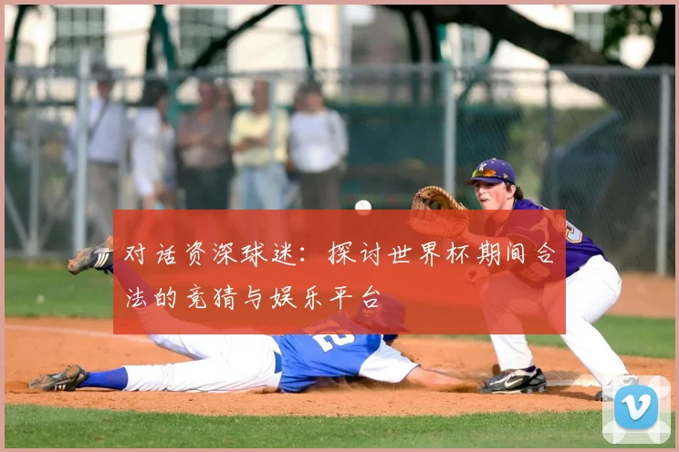 对话资深球迷：探讨世界杯期间合法的竞猜与娱乐平台