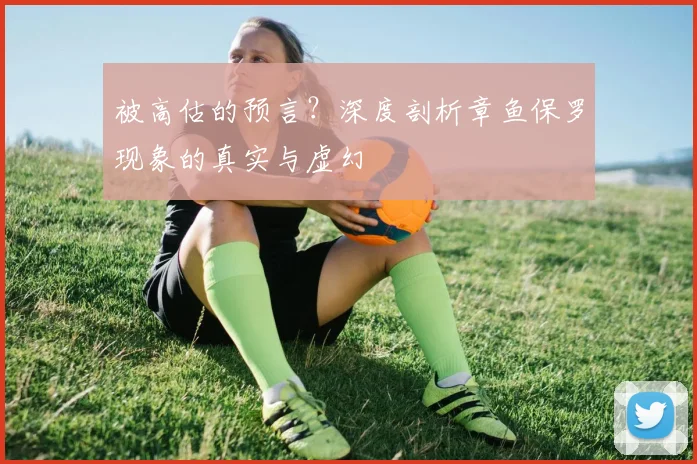 被高估的预言?深度剖析章鱼保罗现象的真实与虚幻