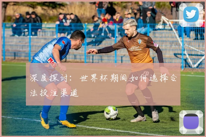 深度探讨：世界杯期间如何选择合法投注渠道