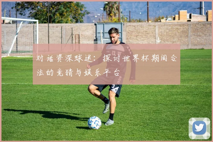 对话资深球迷:探讨世界杯期间合法的竞猜与娱乐平台
