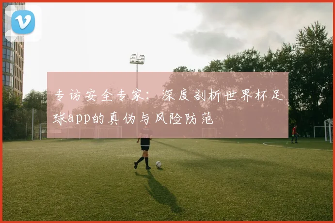 专访安全专家:深度剖析世界杯足球app的真伪与风险防范