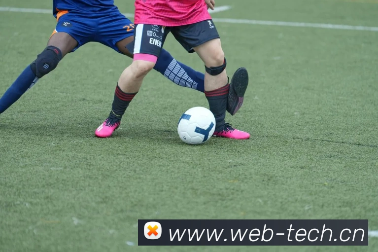 开云app在线入口发展历程